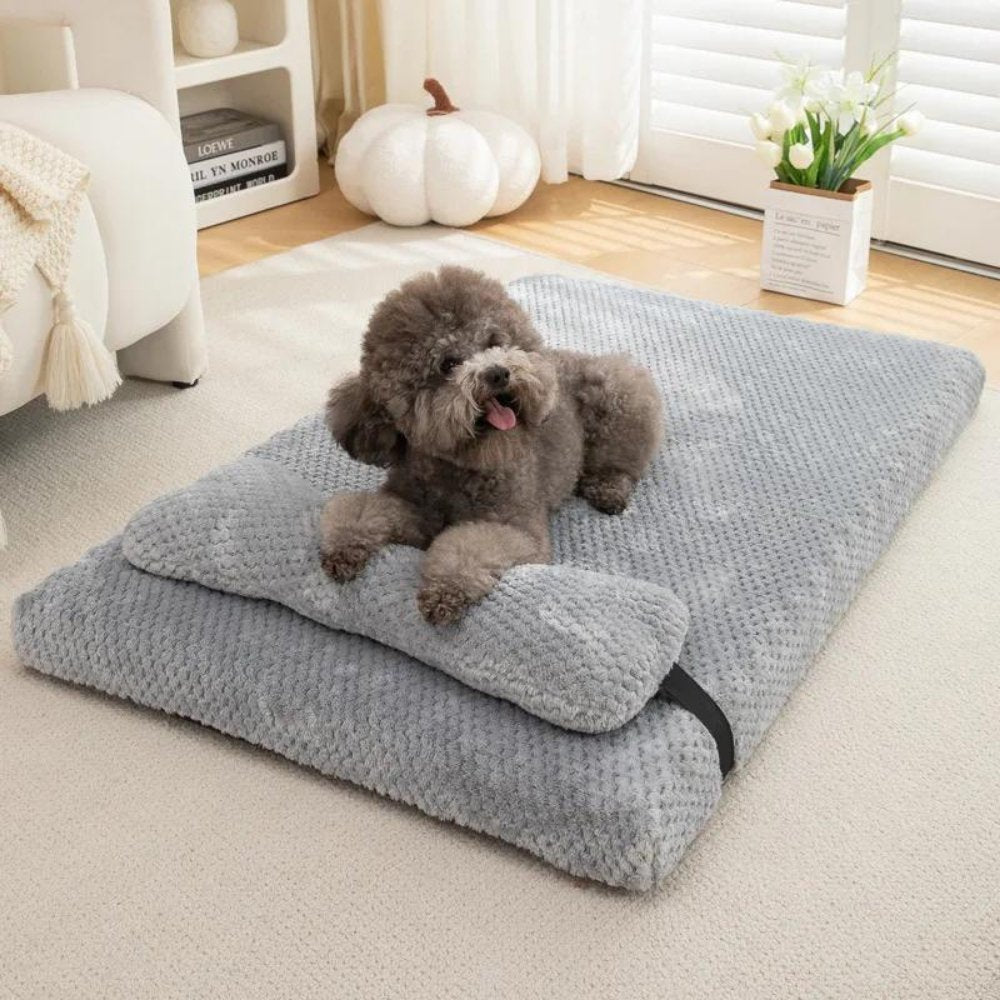 ComfyPaws • Anti - Stress Dog Bed - Dog Bed - BowLift