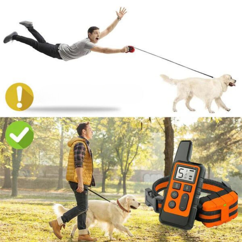 ControlPro • Dog Training Collar - Dog Training Collar - BowLift