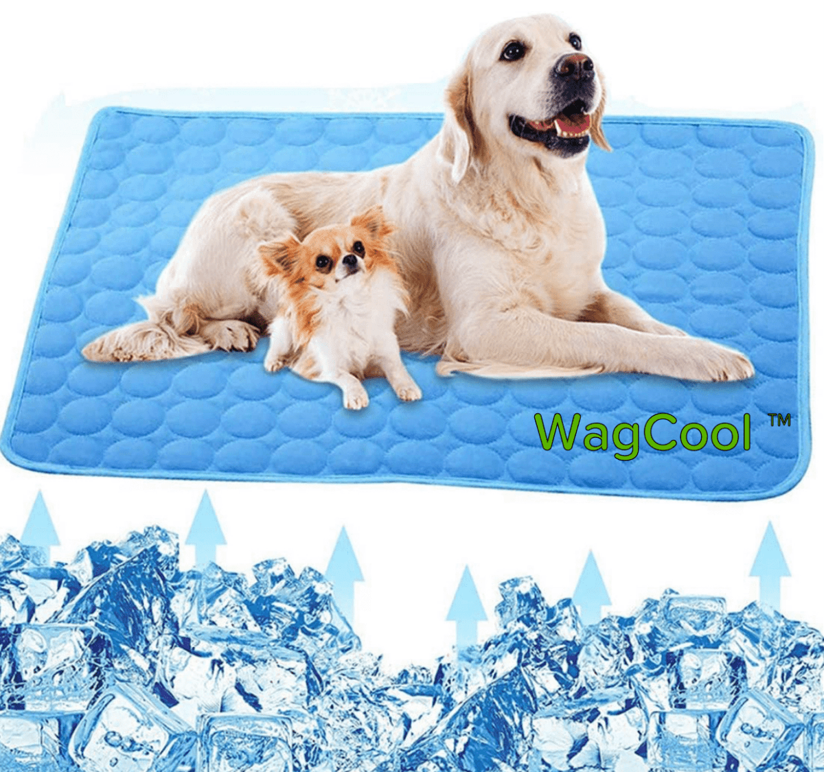 BowLift | COOLPET MAT – Pressure-Activated Cooling Dog Mat for Instant Comfort