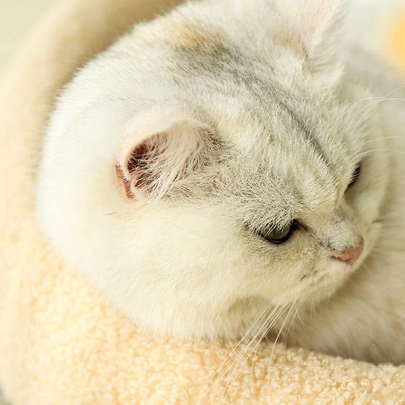 BowLift | COSYCAT Retreat – Stylish Cat Bed with Sisal Scratch Surface & Cushion