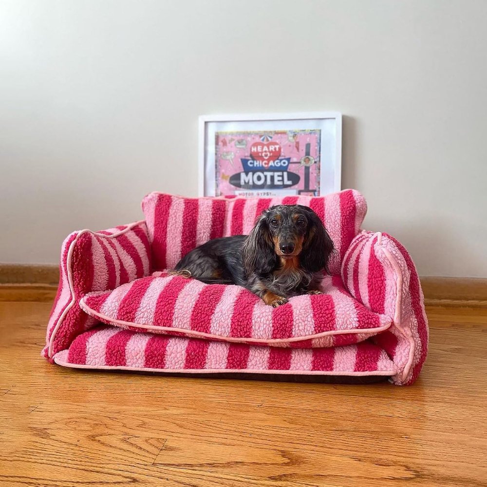 CozyCouch • Calming Dog Sofa - Dog Bed - BowLift