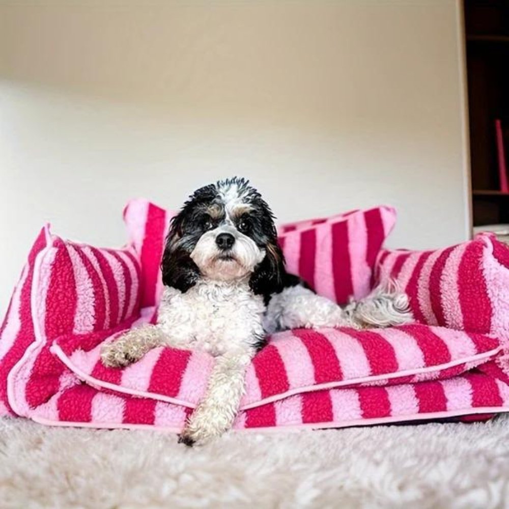 CozyCouch • Calming Dog Sofa - Dog Bed - BowLift