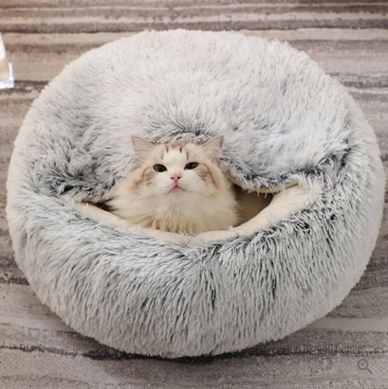 CozyNest • Calming Nest Dog & Cat Bed - Calming Nest Dog & Cat Bed - BowLift