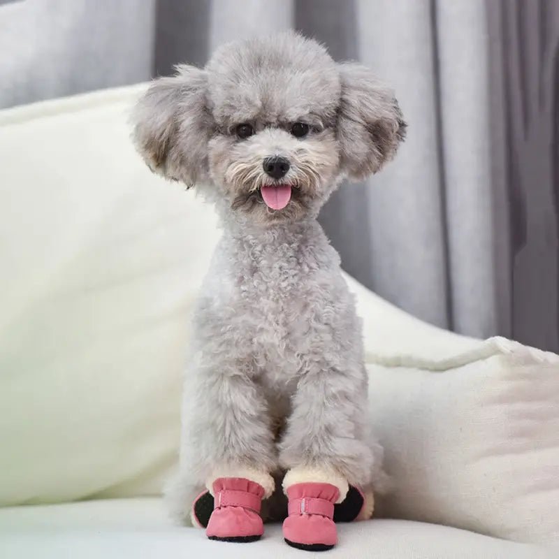 CozyPaws • Dog Waterproof Boots - Dog Waterproof Boots - BowLift