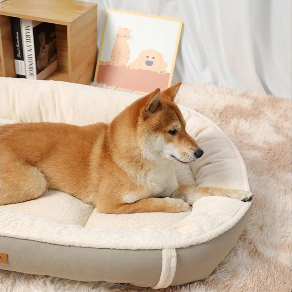 CozyRest • Dog Bed - Dog Bed - BowLift