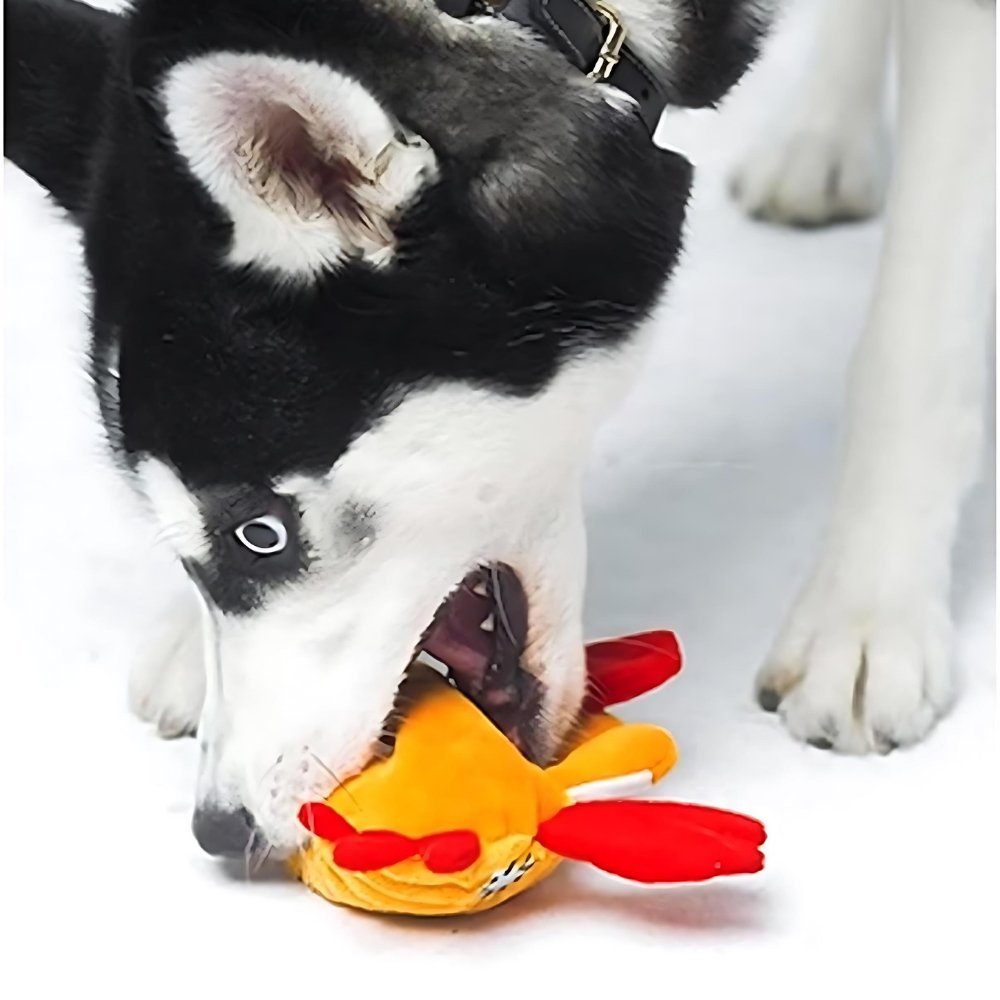 CrabChew• Squeaky Dog Toy - Squeaky Dog Toy - BowLift