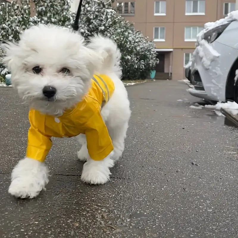 PupShield • Reflective Raincoat