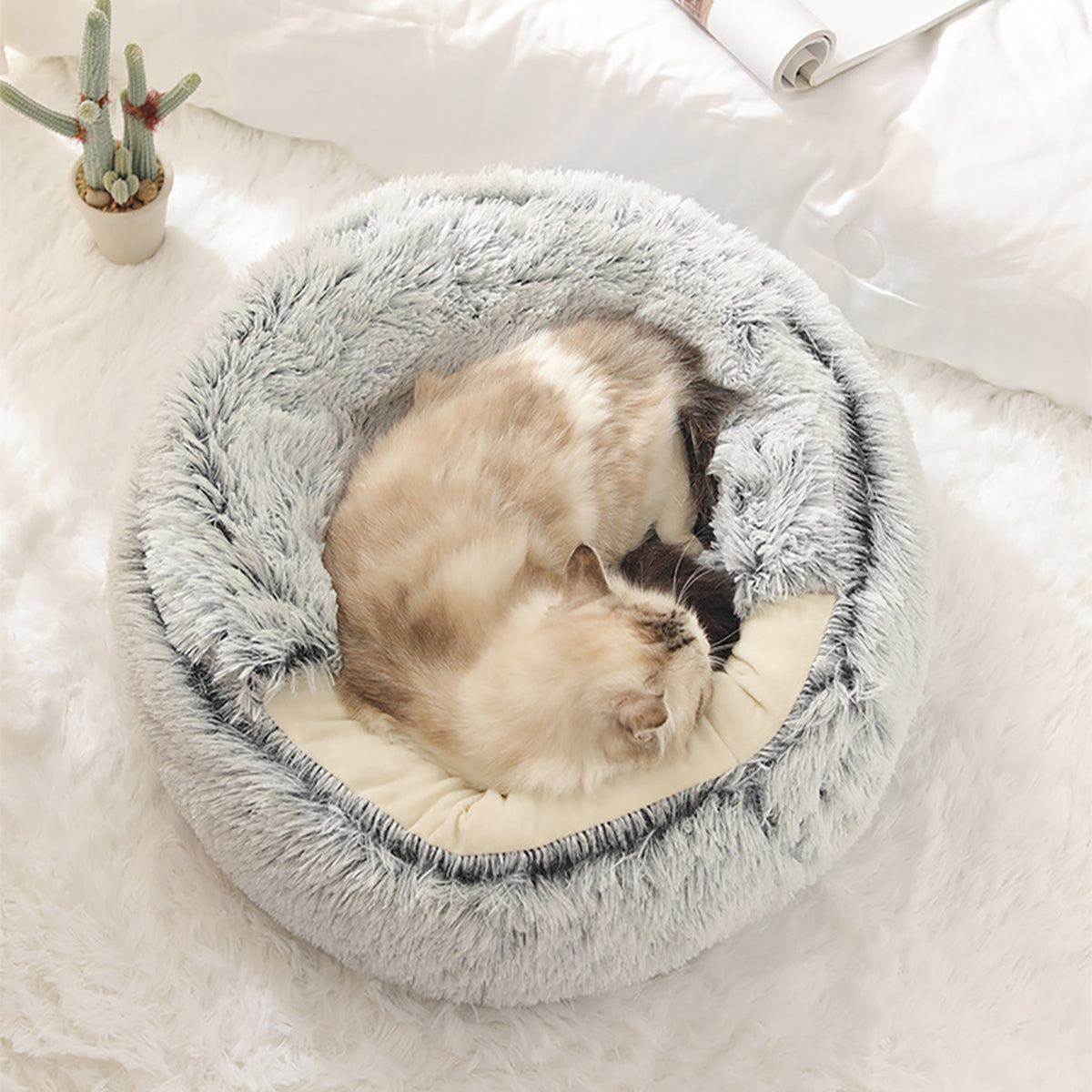 BowLift | ComfyPaws Dreamy Pet Retreat