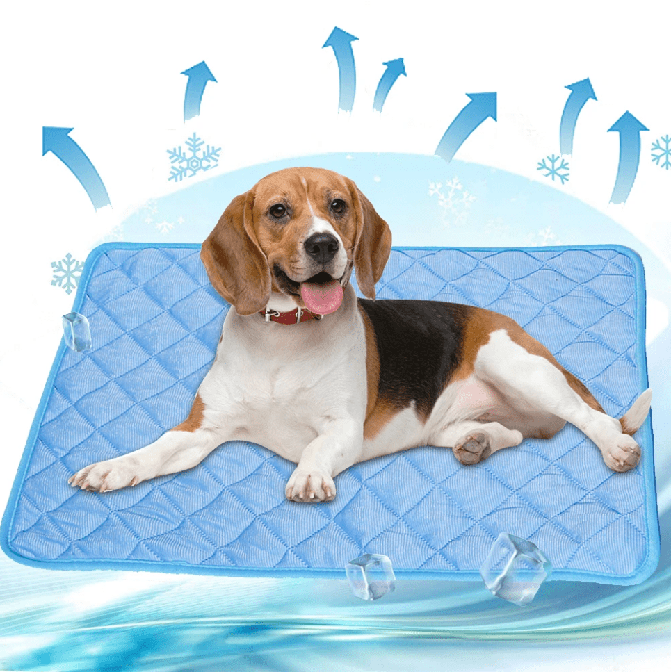 BowLift | DogCool – Self-Cooling Dog Mat for Hot Summer Days