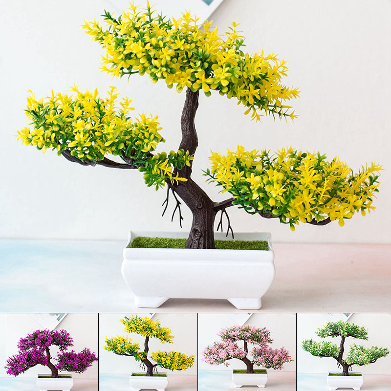 BowLift | Plant Bonsai