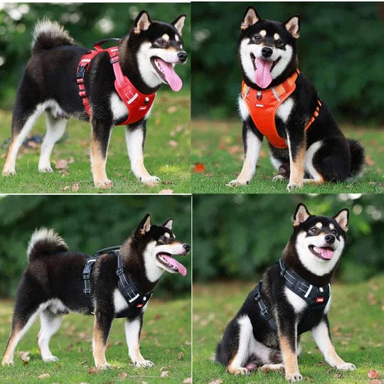 LumiWalk - The Ultimate LED No Pull Dog Harness