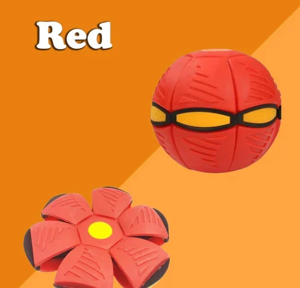 BowLift | Interactive Doggy Disc Ball