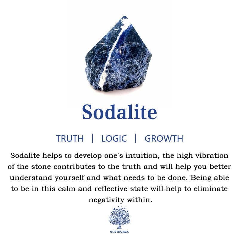 BowLift | Frendorf 2.5 Inch Crystal Dinosaur Home Decoration Gemstone Decor