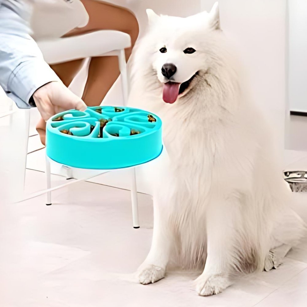 EcoBowl • Dog Feeding Bowl Slow - Dog Feeding Bowl Slow - BowLift