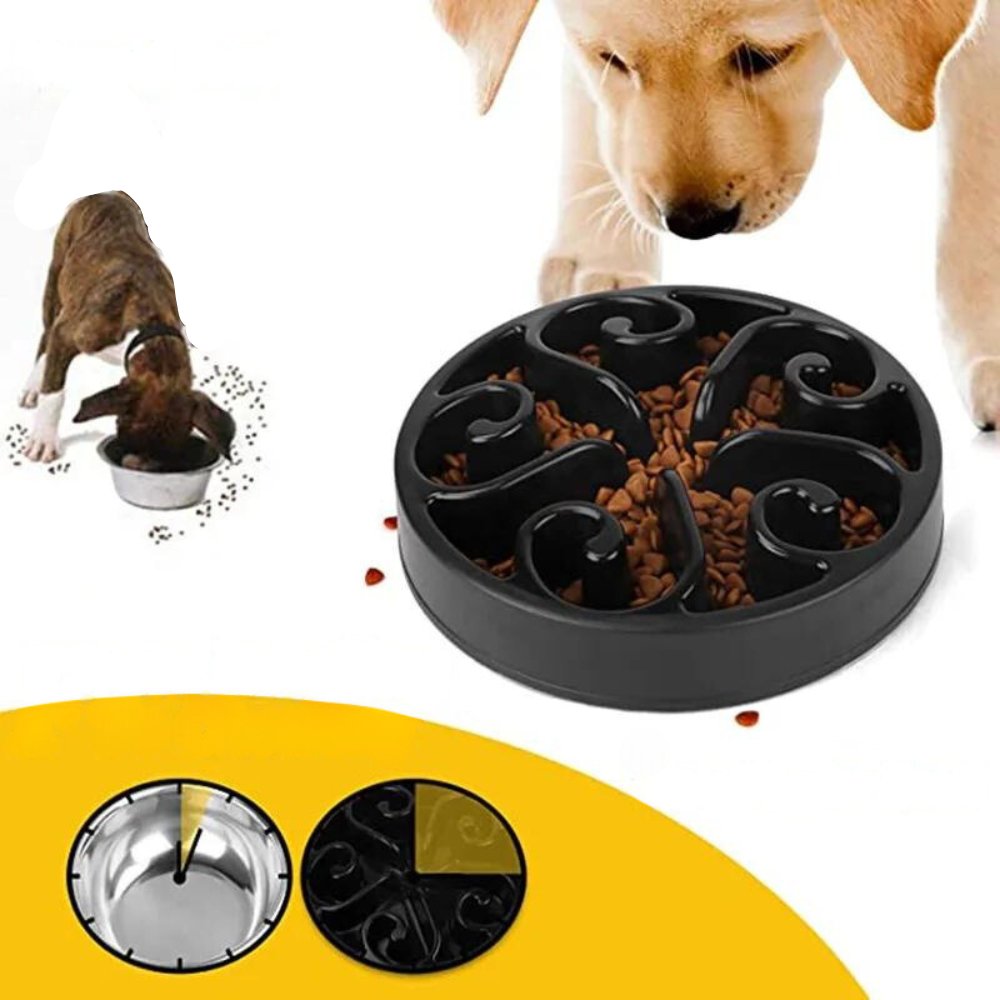 EcoBowl • Dog Feeding Bowl Slow - Dog Feeding Bowl Slow - BowLift