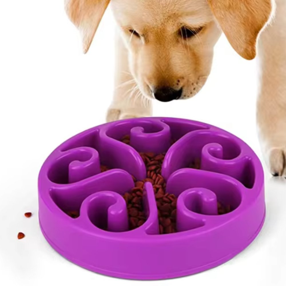 EcoBowl • Dog Feeding Bowl Slow - Dog Feeding Bowl Slow - BowLift