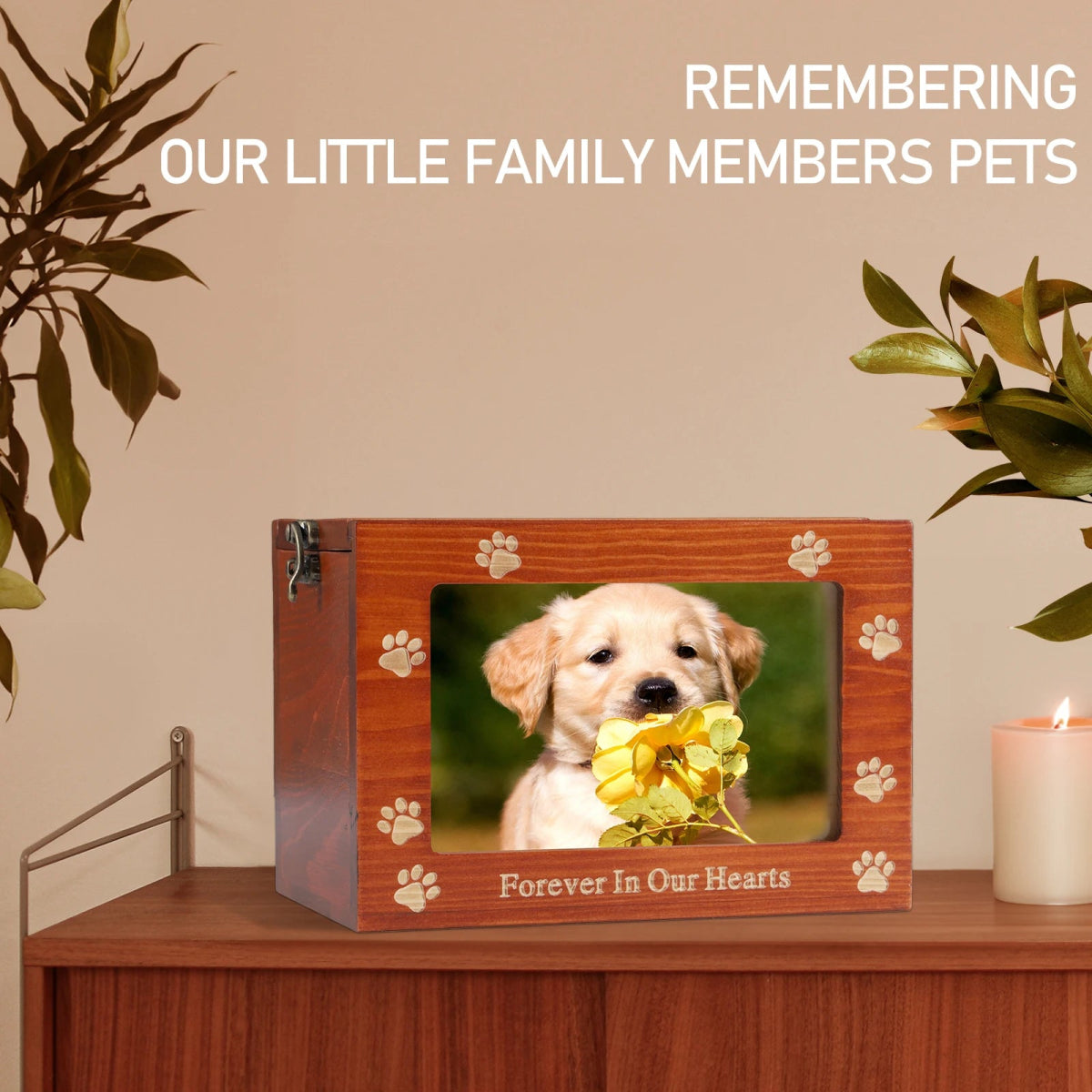 EverPaw • Wooden Pet Memorial Urn with Photo Frame - Dog & Cat Urn - BowLift