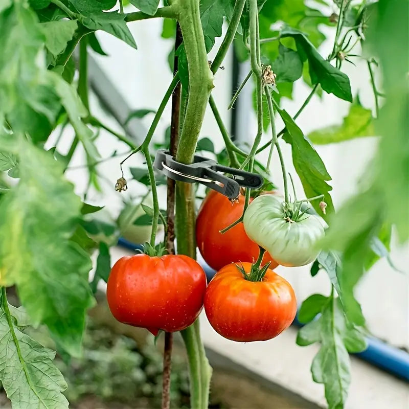 BowLift | Garden clip set – plant loops for plant supports and garden care