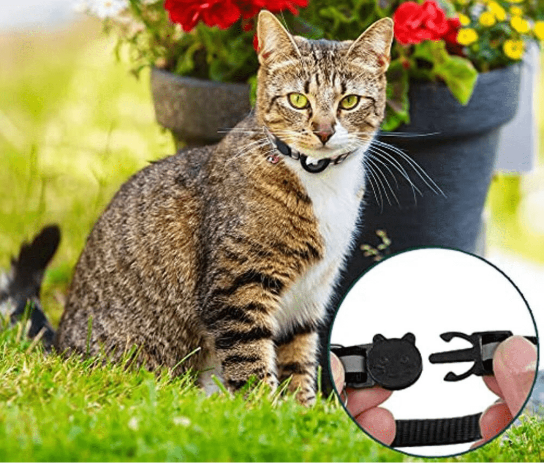 BowLift | FELITRACK – Cat GPS Tracker Collar with Reflective Design