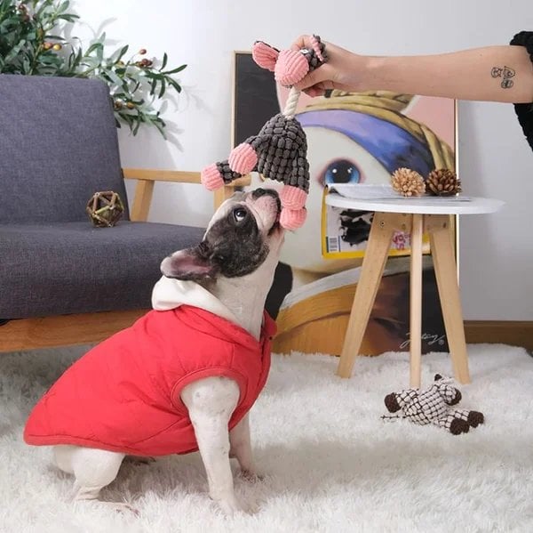 BowLift | Pet Soft Toy