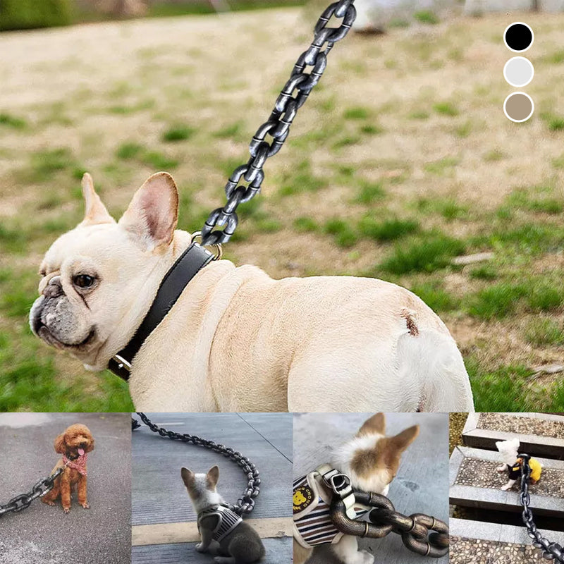 BowLift | Funny Dog Leash