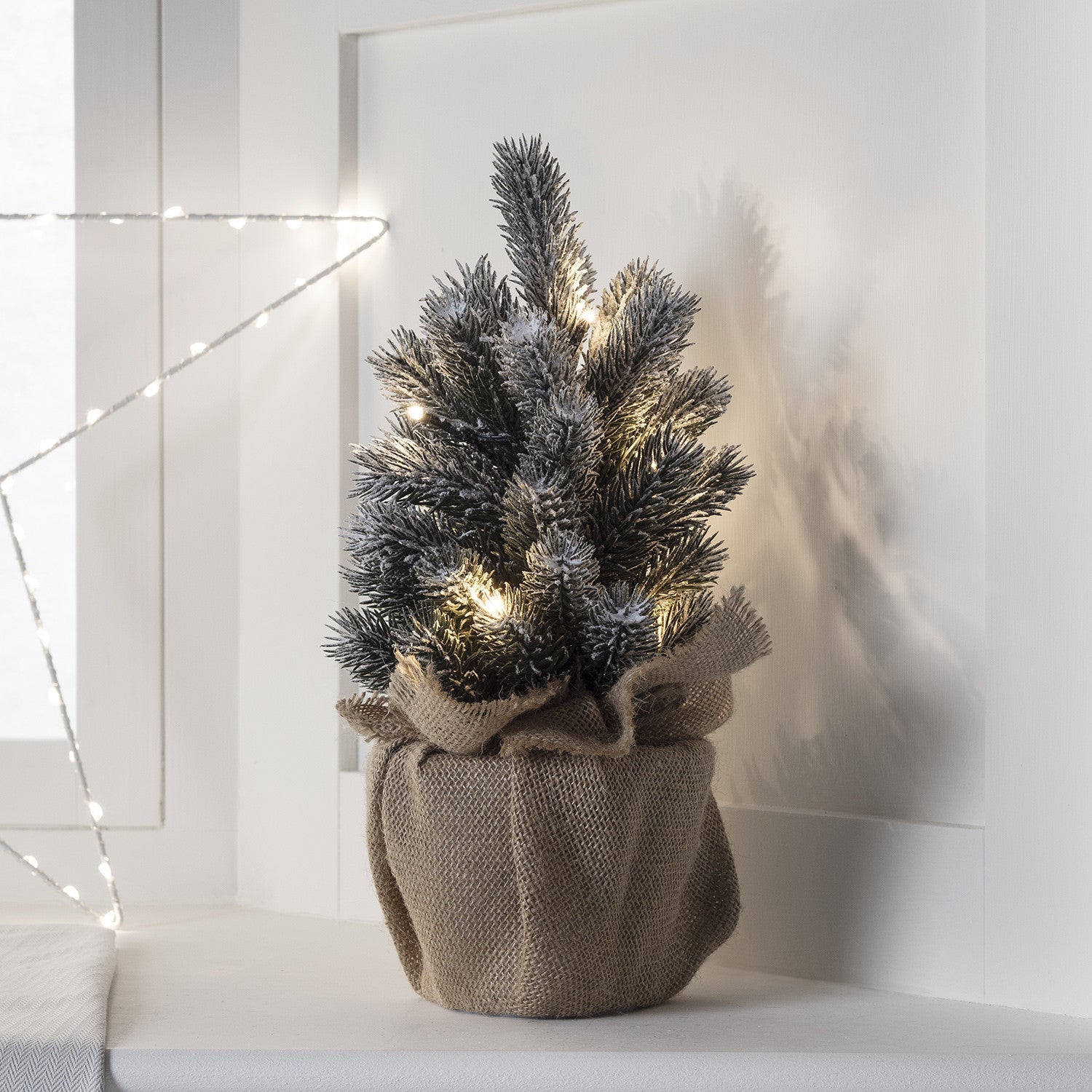 BowLift | Christmas Decorations Mini Frosted Tree Lights