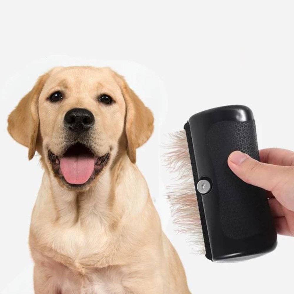 FurEase • Gentle Grooming Brush for Dogs and Cats - Dog Brush - BowLift