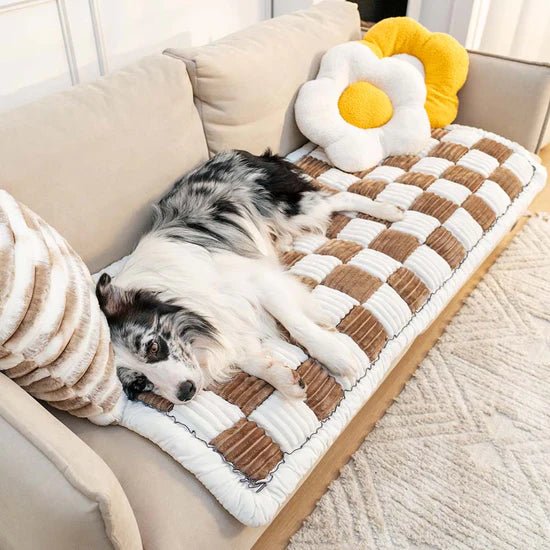 Fuzzy Cream • Colored Dog Sofa Cover - Dog Sofa Cover - BowLift