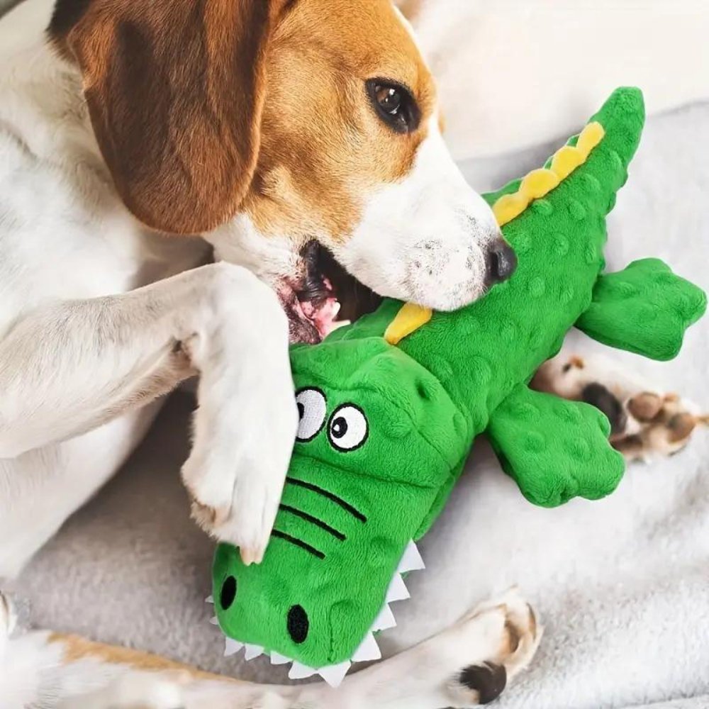 GatorChew • Crocodile Dog Toy - Crocodile Dog Toy - BowLift