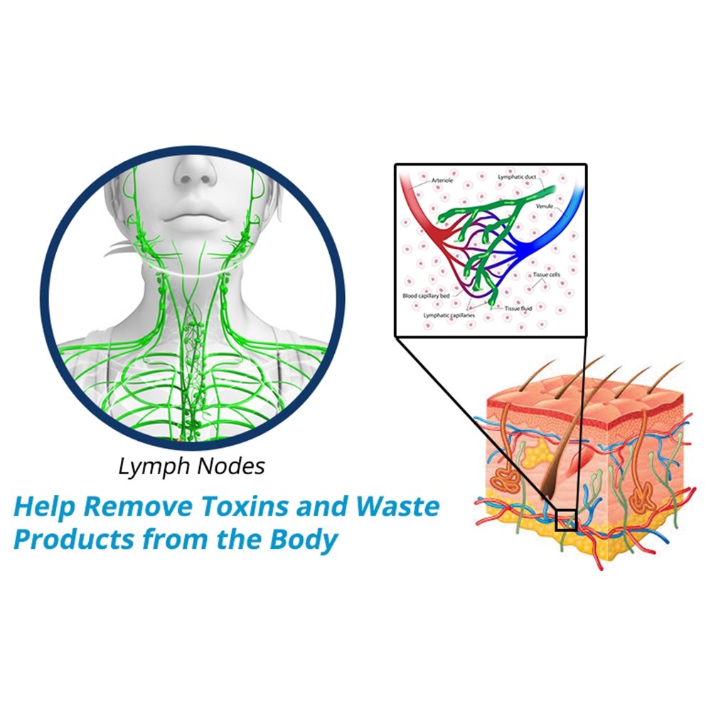 BowLift | GFOUK™ PerfectJaw EMS Microcurrent Lifting Device