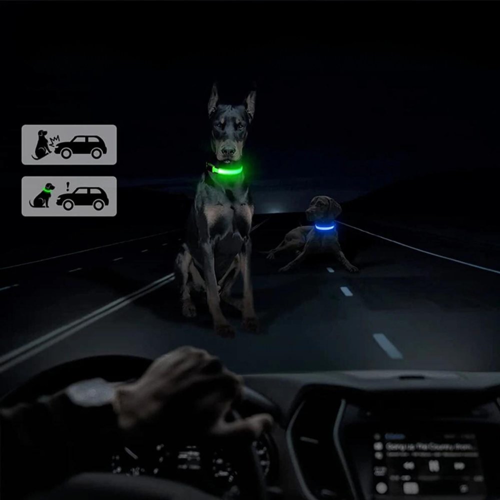 GlowGuard • AirTag Dog Collar - AirTag Dog Collar - BowLift