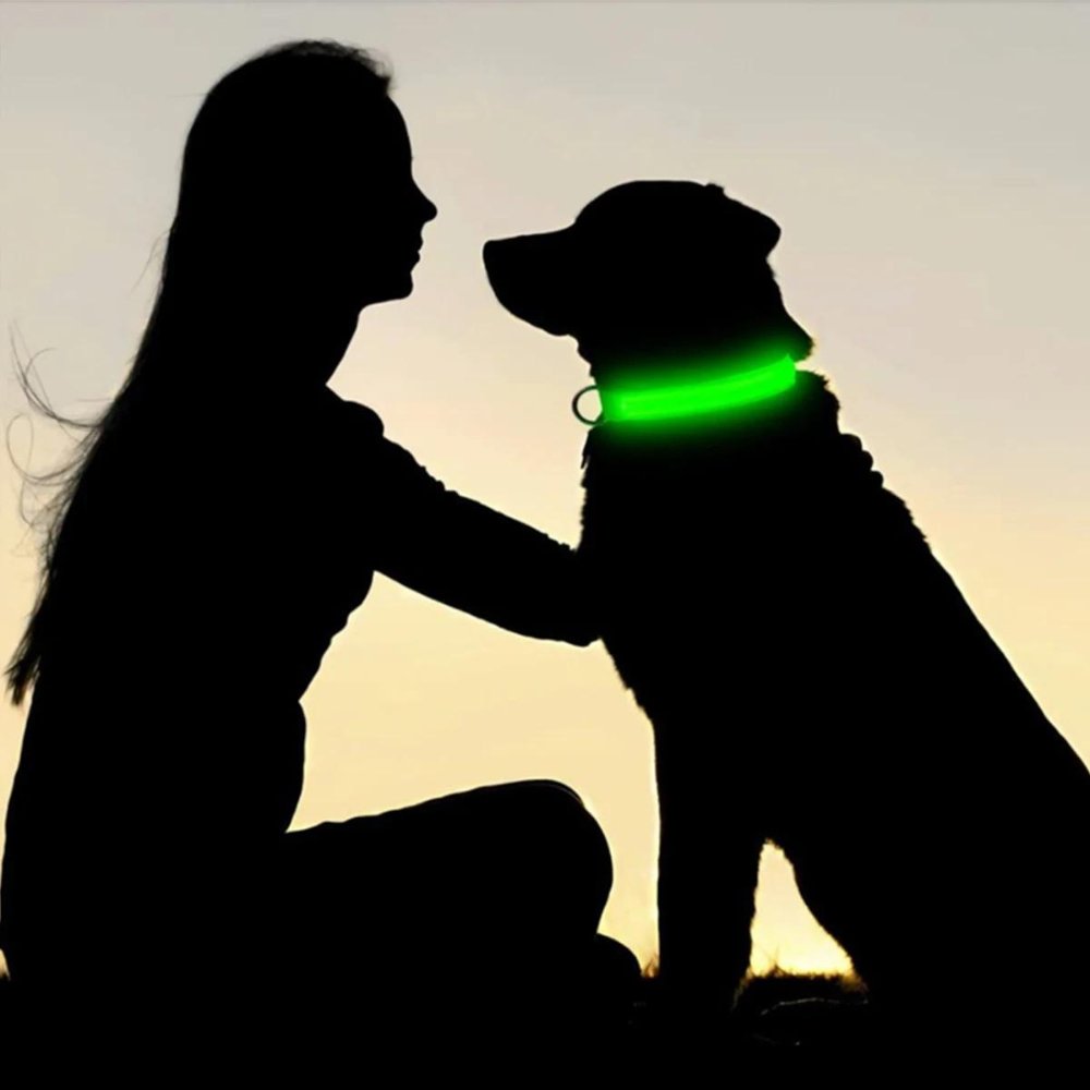 GlowGuard • AirTag Dog Collar - AirTag Dog Collar - BowLift