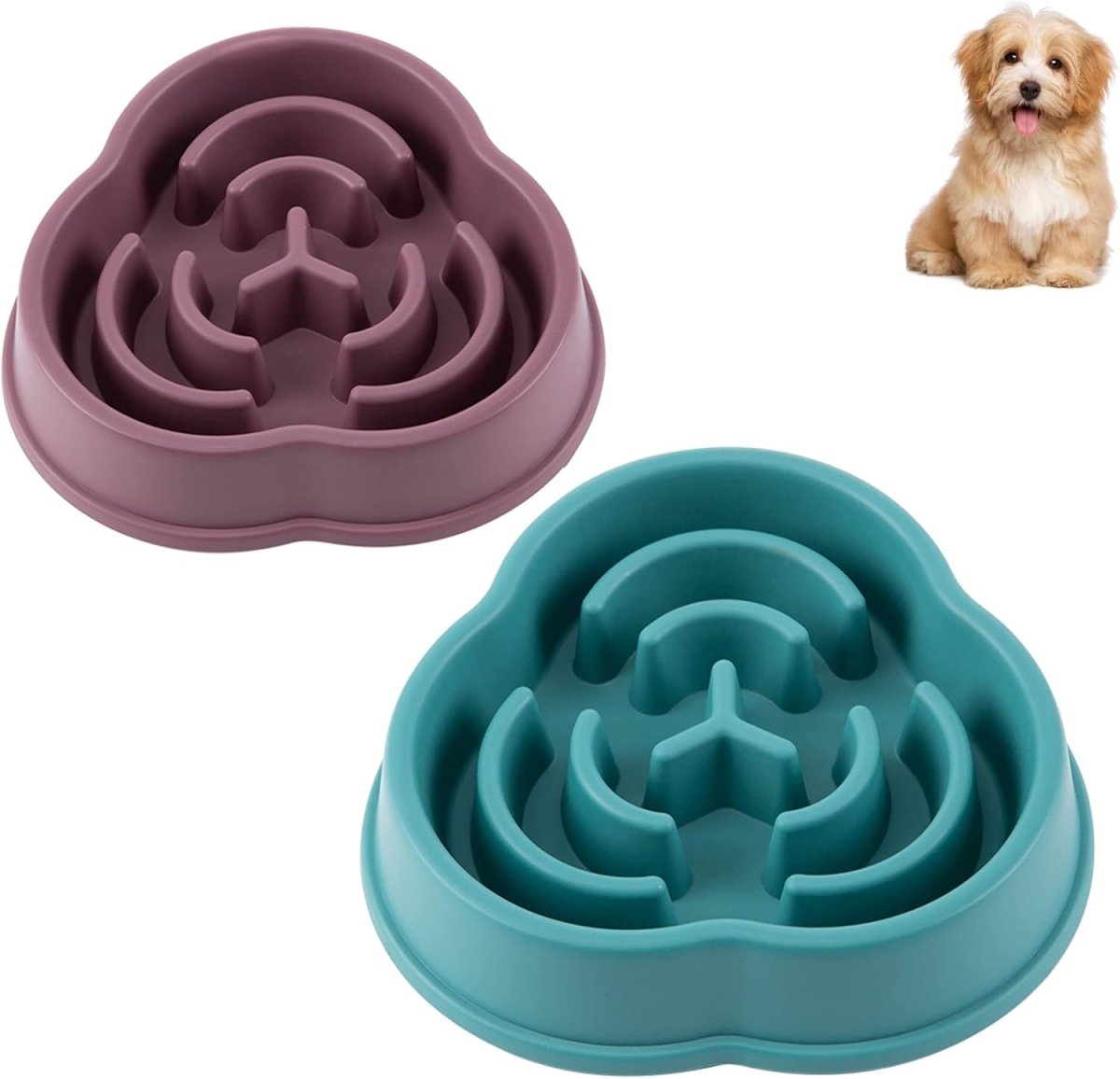 HealthyBowl • Dog Feeding Bowl Slow - Dog Feeding Bowl Slow - BowLift