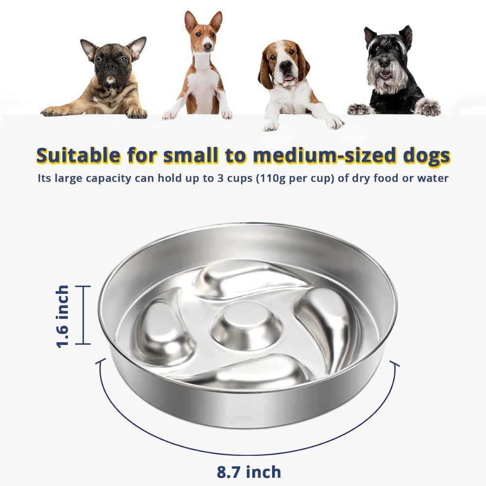 HealthyPaws • Dog Feeding Bowl Slow - Dog Feeding Bowl Slow - BowLift