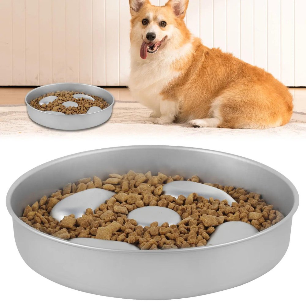 HealthyPaws • Dog Feeding Bowl Slow - Dog Feeding Bowl Slow - BowLift