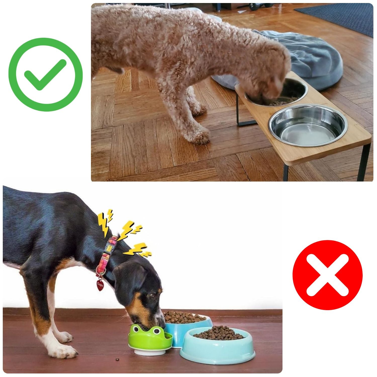 BowLift | Elevated Dog Food Bowl – Bamboo Stand with Removable Stainless Steel Bowls