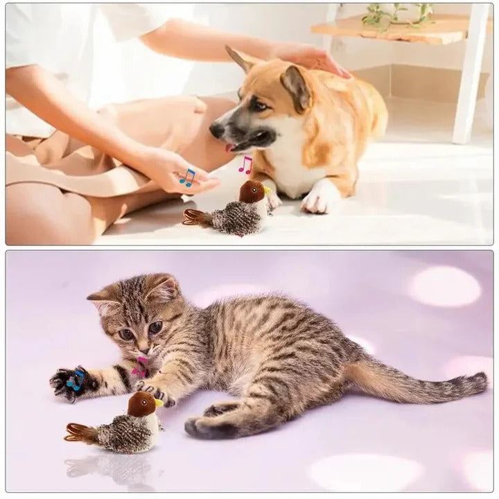 BowLift | Interactive Sound Bird Cat and Dog Toy