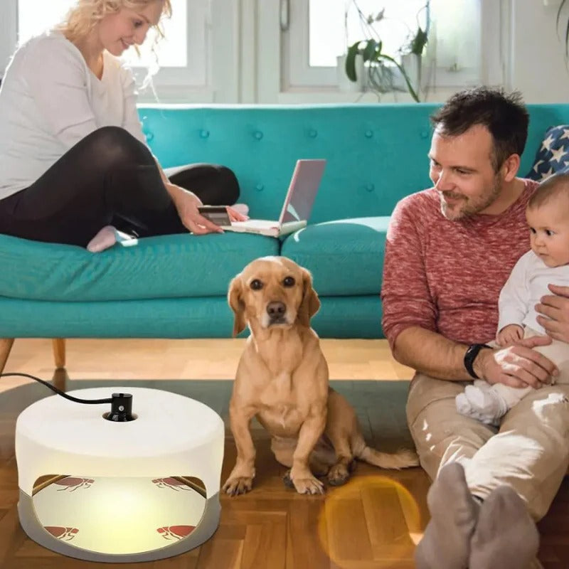 BowLift | Indoor Bed Bug Trap and Catcher with Sticky Pads