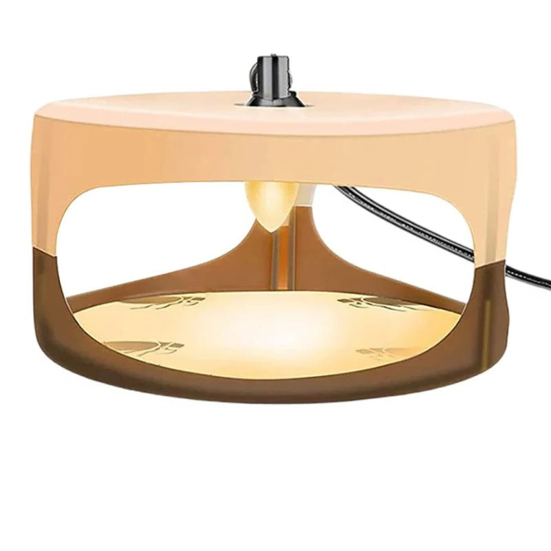 BowLift | Indoor Bed Bug Trap and Catcher with Sticky Pads