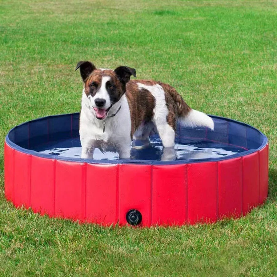 BowLift | Foldable Dog Pool