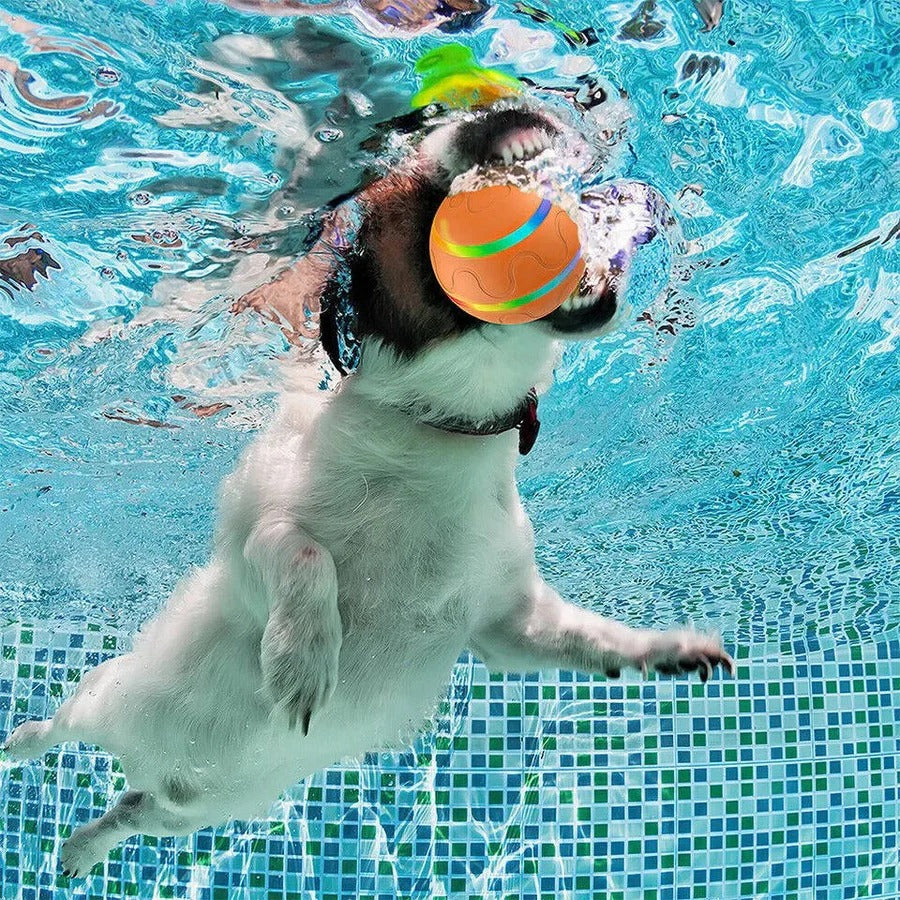 BowLift | Interactive Dog and Cat Ball Toy