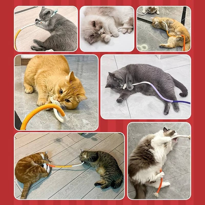 BowLift | Cat Chew Toys for Healthy Play