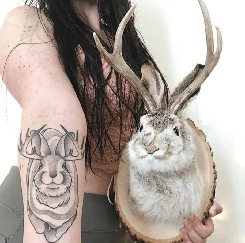 BowLift | Jackalope Wall Decor