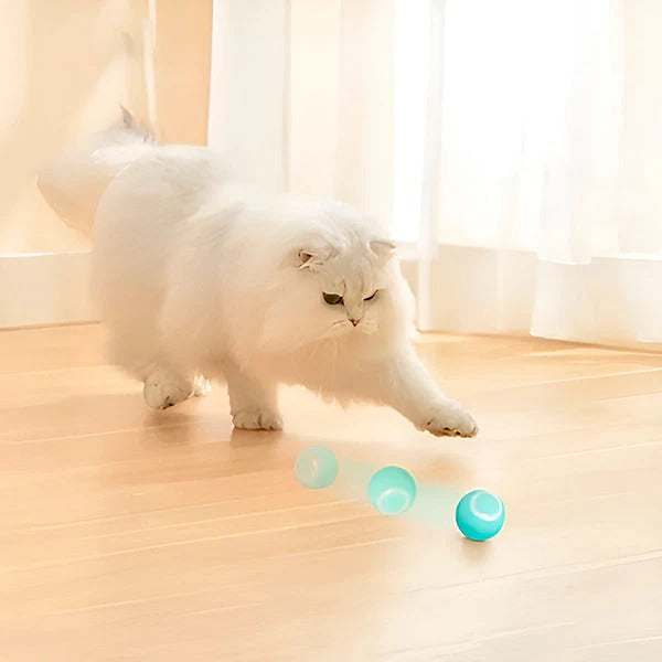 BowLift | Interactive Pet Ball, Rolls Automatically