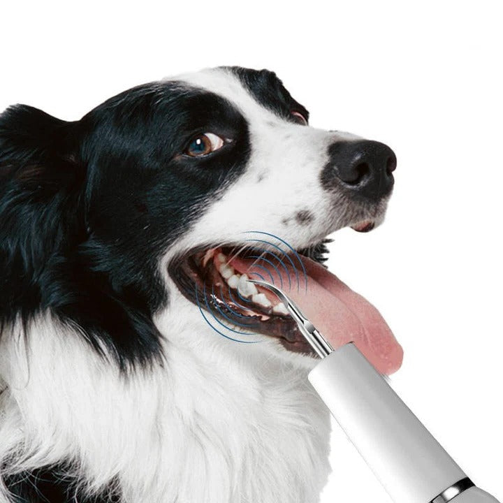 BowLift | Pet Oral Cleaning Tool for Fresh Breath & Grooming Care