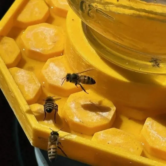 BowLift | HiveDrink Hydrates Pollinator Life