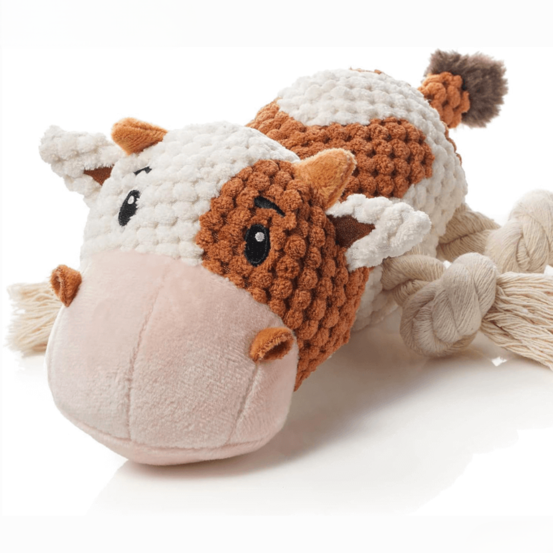 BowLift | Dog Chew Toy Plush Squeaky Durable