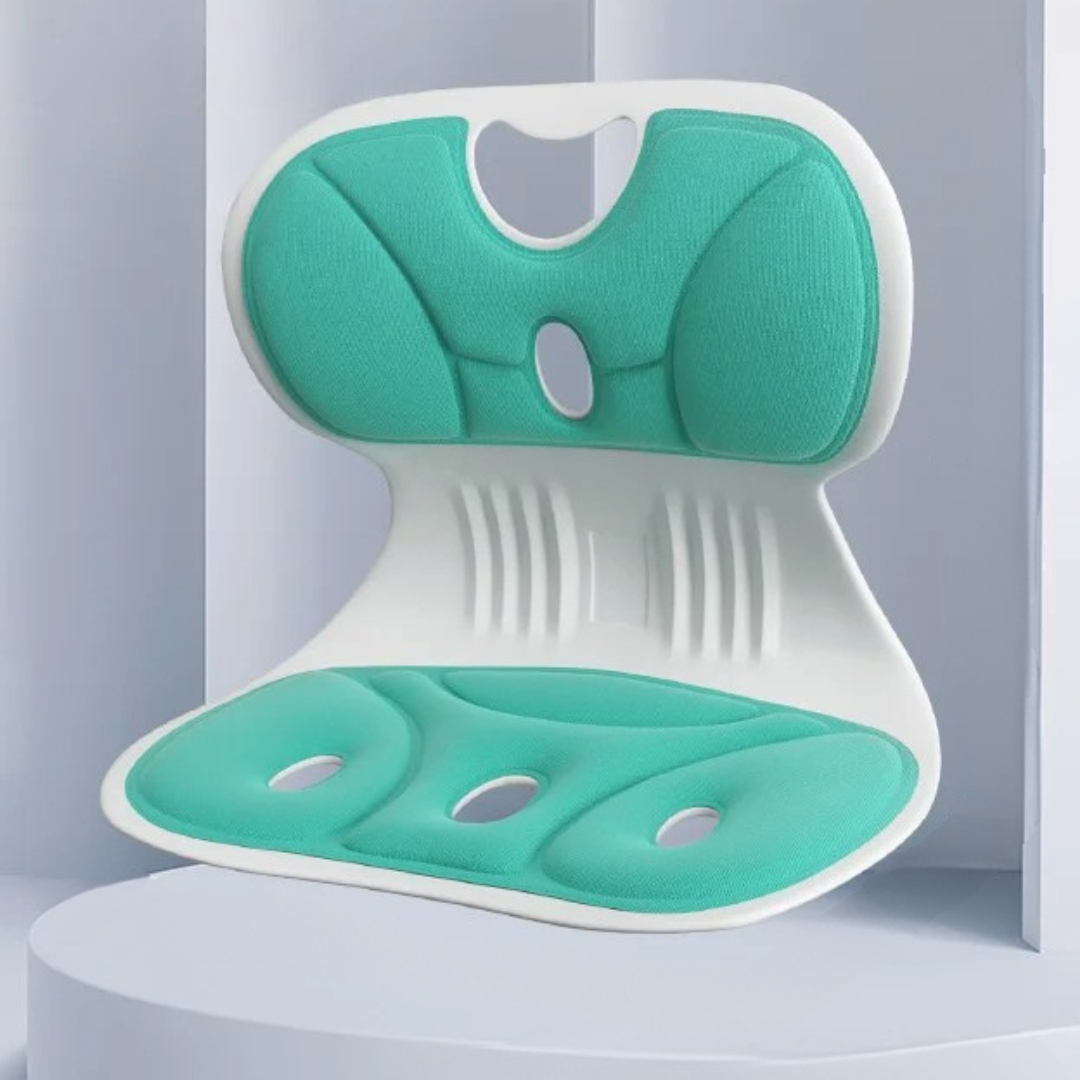 BowLift | Back Support Cushion for Office Desk Chair