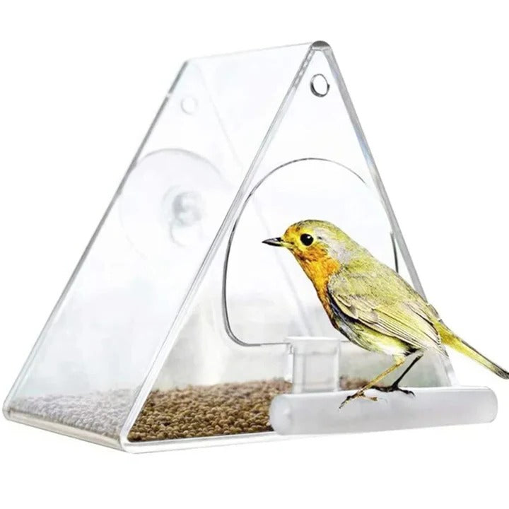BowLift | Clear Acrylic Hanging Bird Feeder