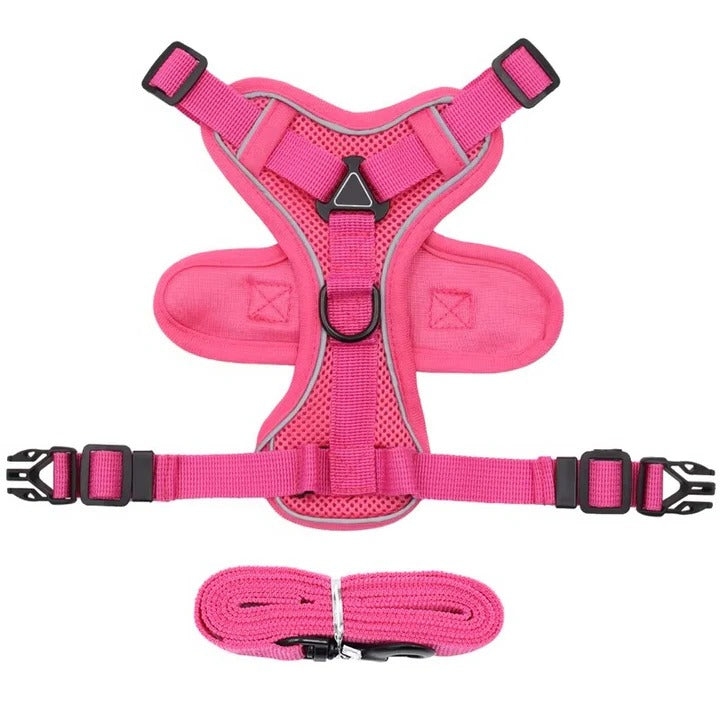 BowLift | Reflective Cat Harness and Leash Set